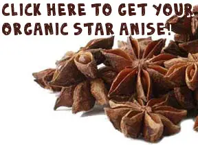 Organic Star Anise Herbal Tea