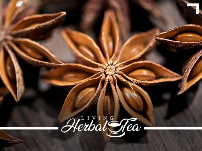 Healing Herbal Tea : Anise