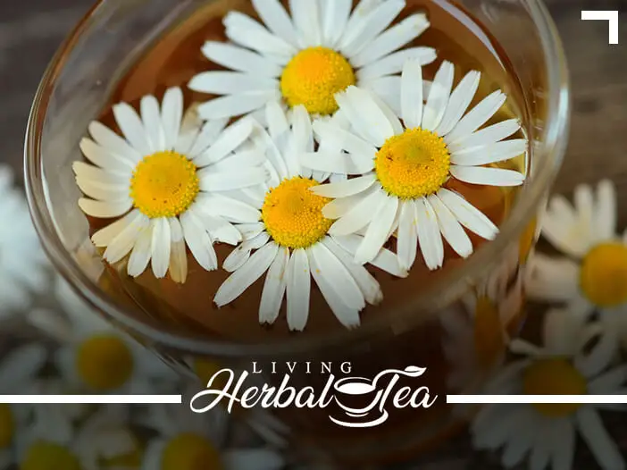 Stress Tonic Herbal Tea Recipe