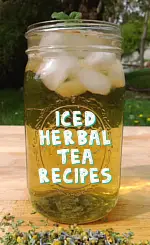 Iced Herbal Tea Recipes