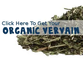 Organic Vervain Herbal Tea