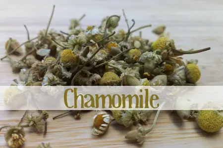 Chamomile Herbal Tea 01