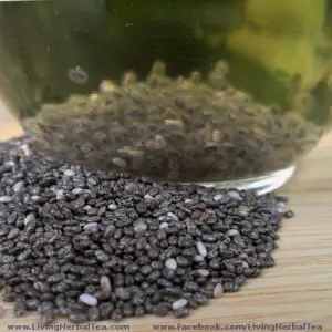 Using Chia Seeds in Herbal Tea Blends