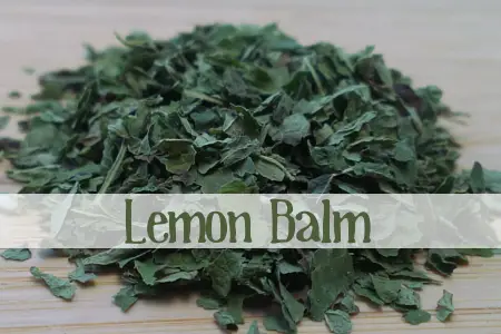 Lemon Balm Herbal Tea 01