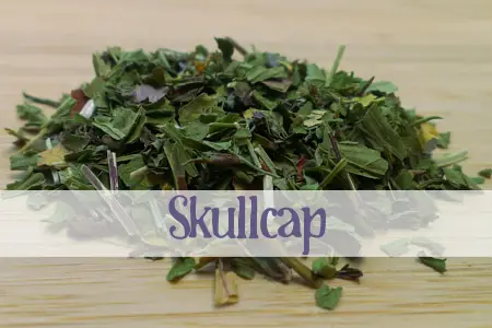 Skullcap Herbal Tea 01
