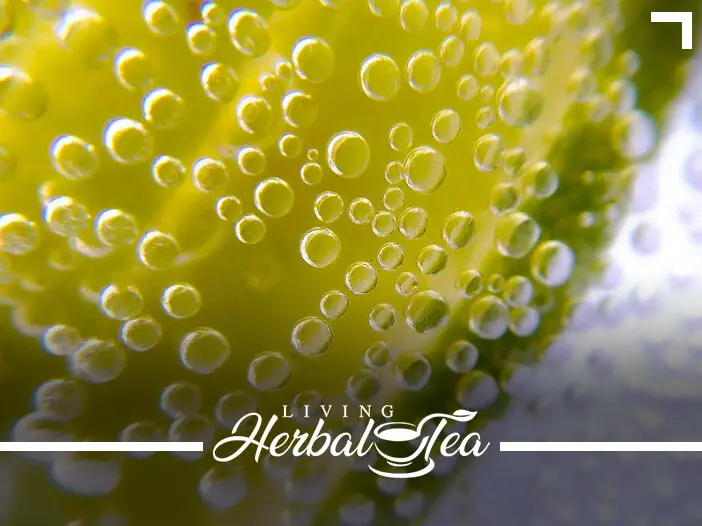 Alkalizing Herbal Teas