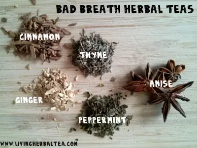 bad breath herbal teas