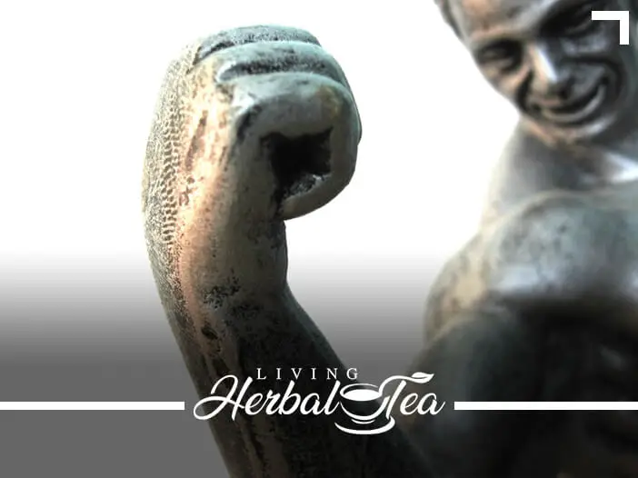 Muscle Building Herbal Tea