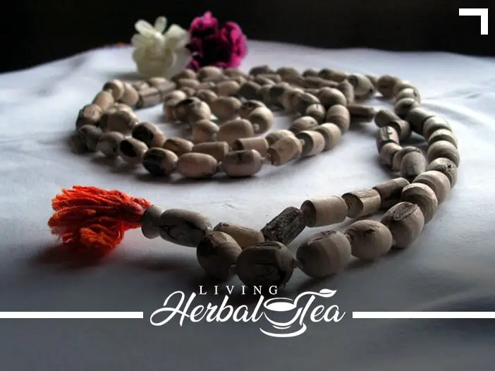 Herbal Tea For Meditation