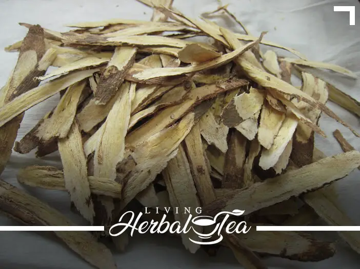 The Benefits Of Astragalus Herbal Tea