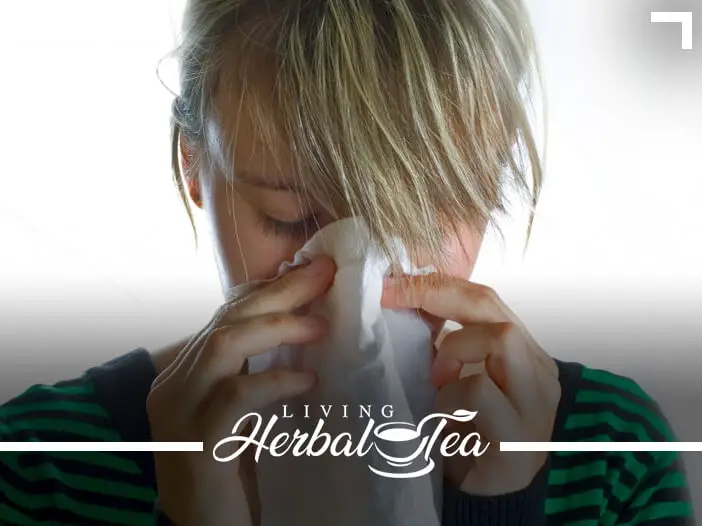 Fighting Allergies With Herbal Tea