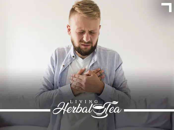 Herbal Tea For Heartburn