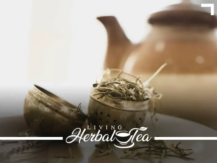 Types Of Herbal Tea Infusers