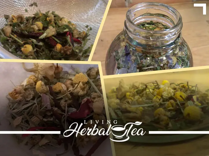How To Cold Steep Herbal Tea