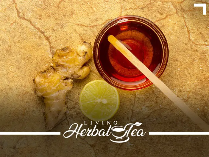 Spicy Cool Iced Herbal Tea Recipe